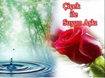 Çiçek'in Suya Olan Aşkı