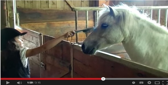 Sissi - Mein kleines Pony
