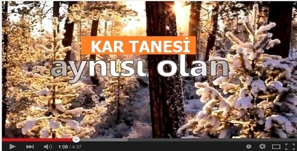 Bilimsel Araştırma; Kar Tanesi