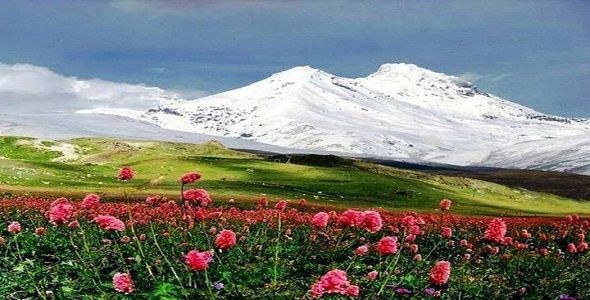 Çevre Bilinci