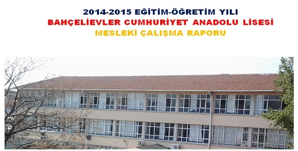 Mesleki Çalışma Raporu
