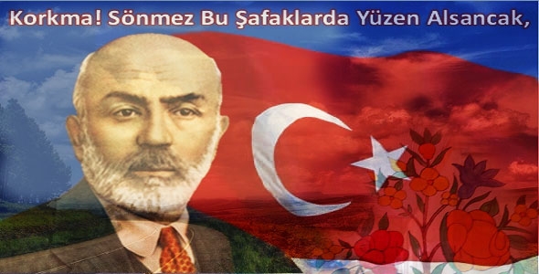 İstiklâl Marşı'nın Kabulü