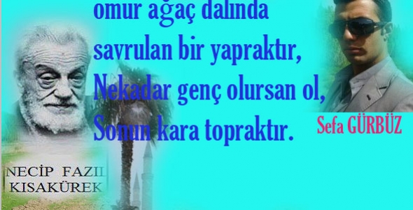 Hayat Bir Yaprak