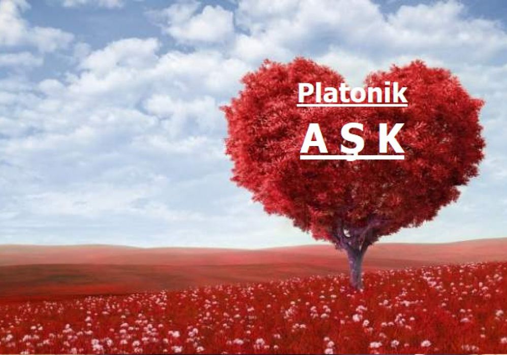 Platonik Aşkın Peşinden Giden Adam