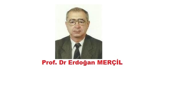 Prof. Dr. Erdoğan Merçil